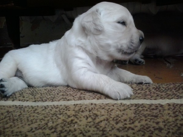 2013-07-26 11.38.43.jpg