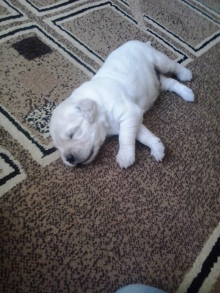 2013-07-26 11.39.30.jpg