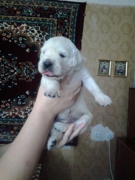 2013-07-26 11.42.07.jpg