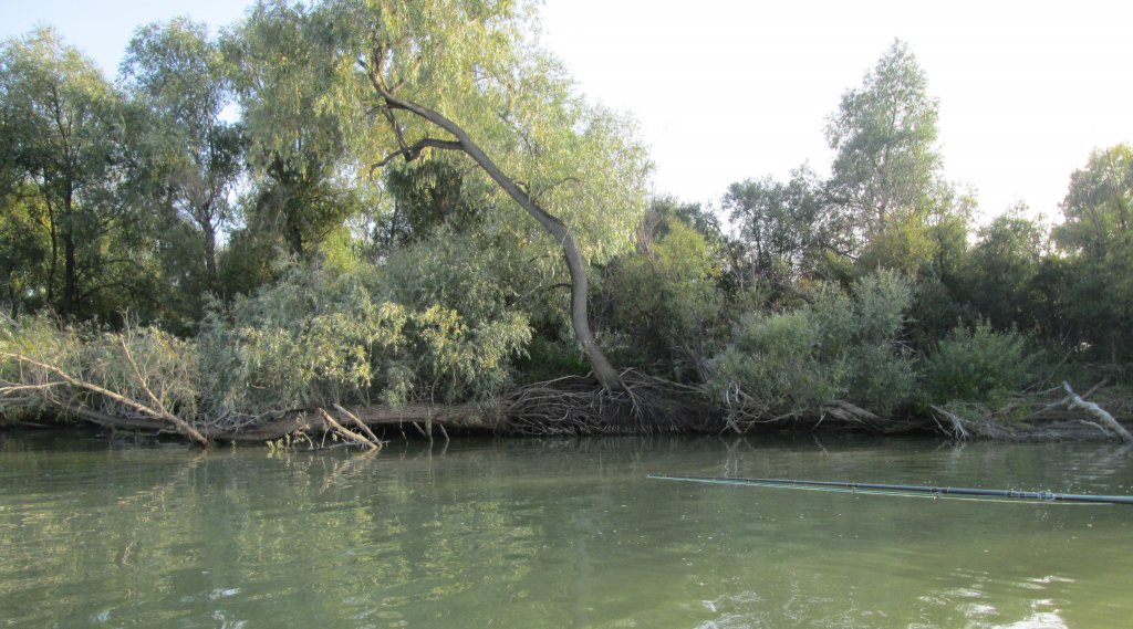 ЧРК спинлодка 2014 (44).JPG