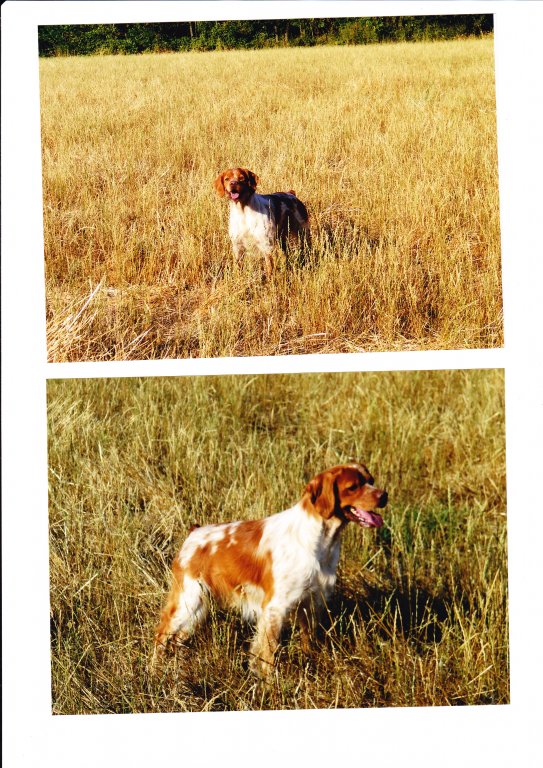 den di val grossa.jpg