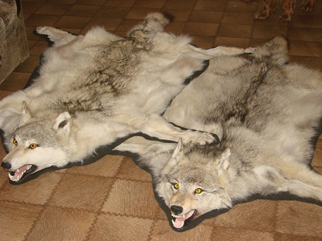 DSC05811 [640x480].JPG