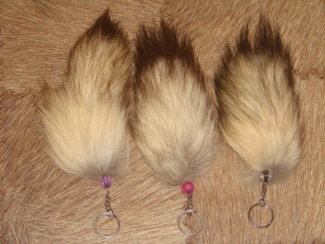 DSC05867 [640x480].JPG