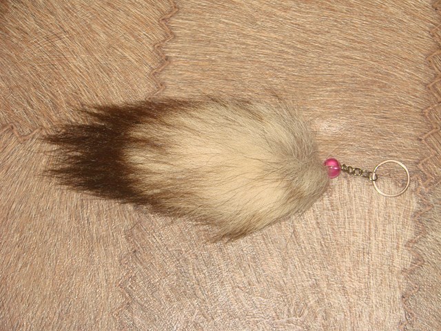 DSC05868 [640x480].JPG