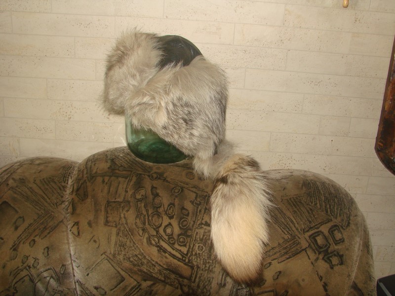 DSC06170 [800x600].JPG