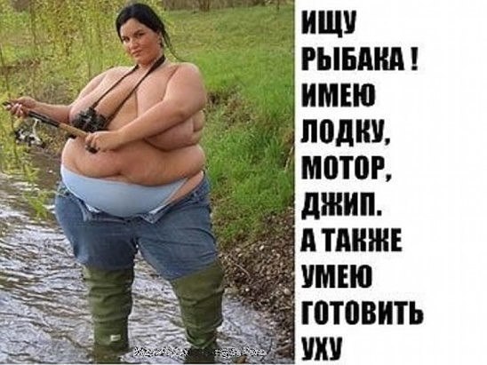 ищу рыбака.jpg