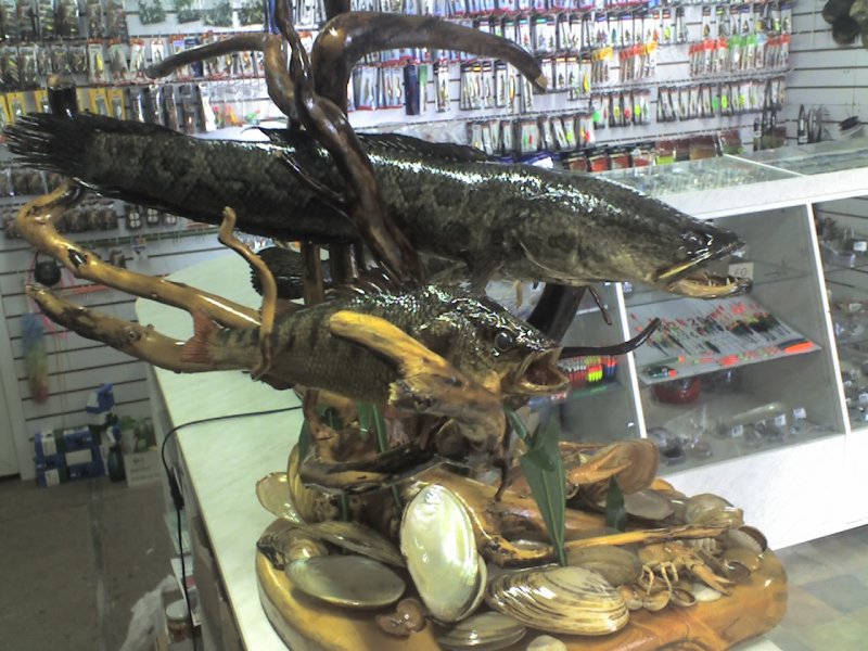 Поворот 25-07-09_1242.jpg