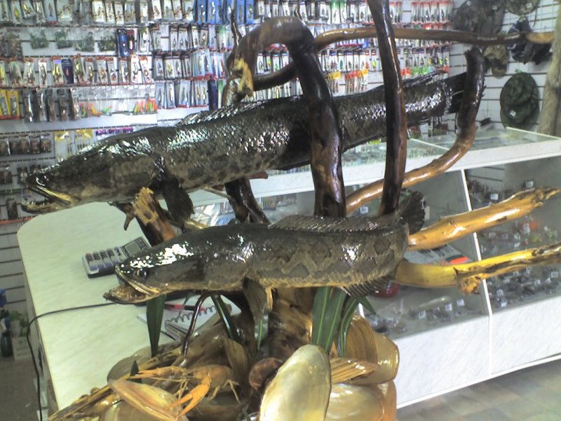 Поворот 25-07-09_1243.jpg