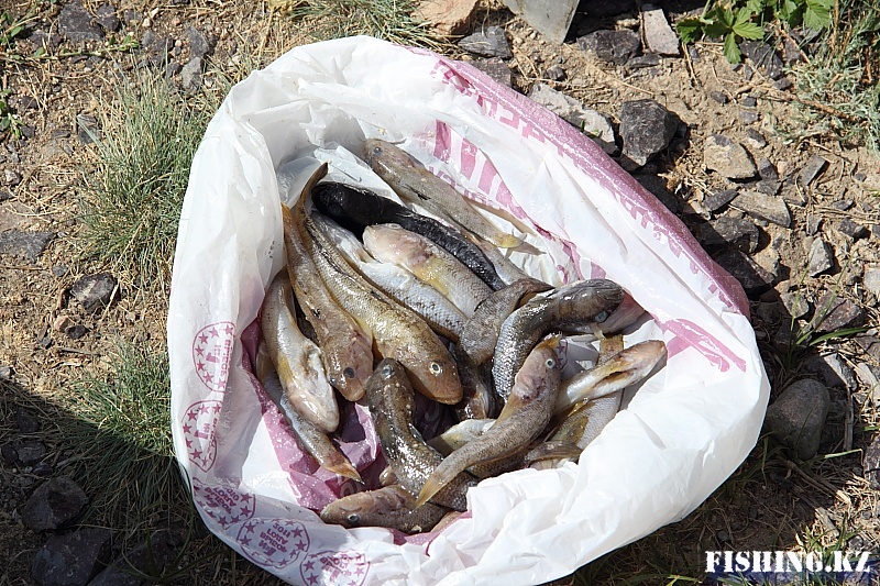 Семиречье - 16.jpg