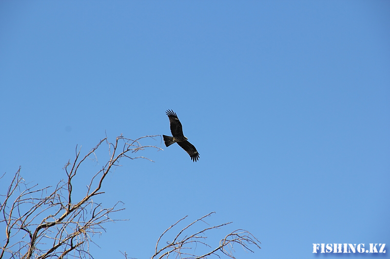 Семиречье - 33.jpg