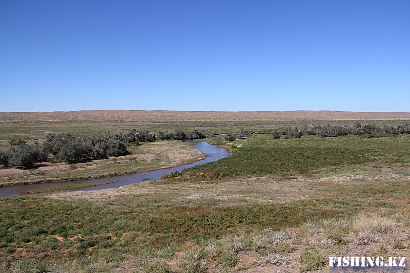 Семиречье - 48.jpg