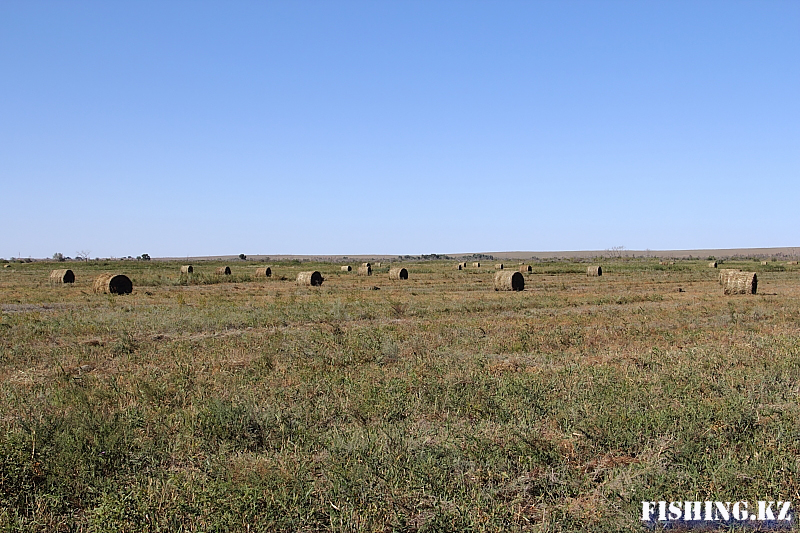 Семиречье - 50.jpg