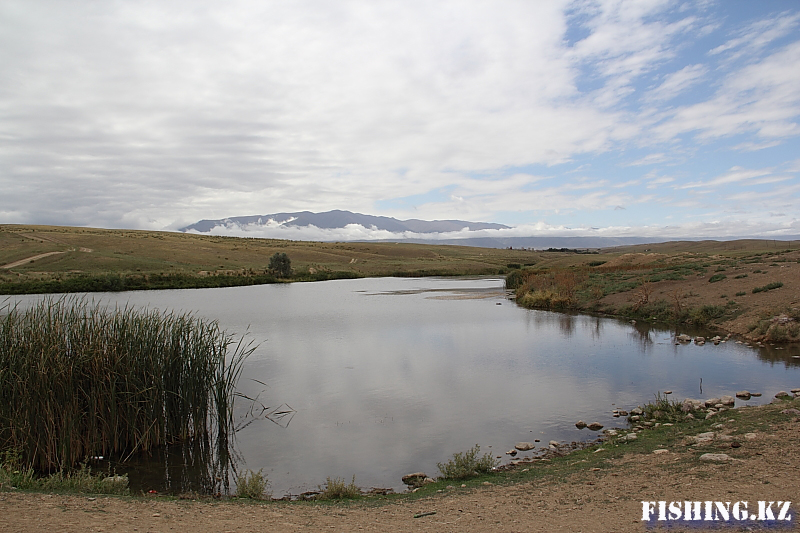 Семиречье - 6.jpg