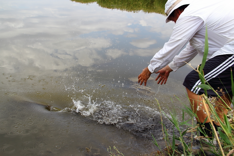 Триада - 9.JPG