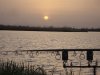 DSC00141.jpg