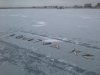 20130203_104811.jpg
