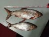 2013-01-14_00.31.34.jpg