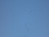 DSC01191.JPG