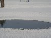 DSC03919.JPG