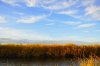 _DSC0169.JPG