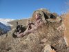 IMG_0547.JPG