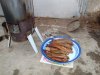 DSC03157.jpg