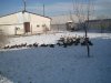 IMG_2549.JPG