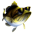 Kassen
