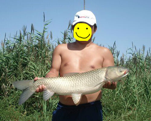 <img src="style_emoticons/<#EMO_DIR#>/fishing.gif"...