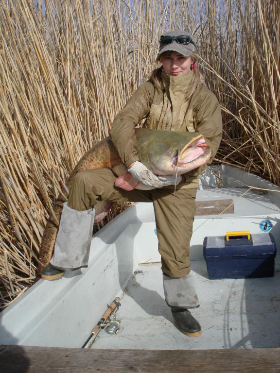 Трофейный сом в дельте реки Или
