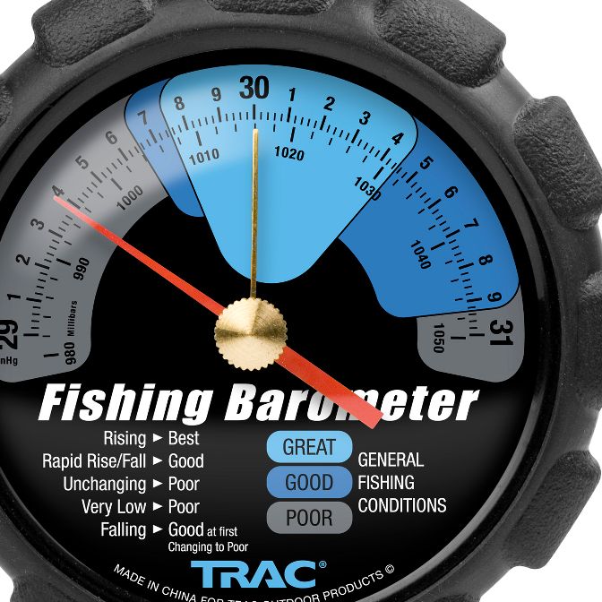 <img src="style_emoticons/<#EMO_DIR#>/fishing.gif"...