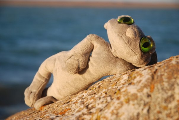 на Балхаше в '12-ом