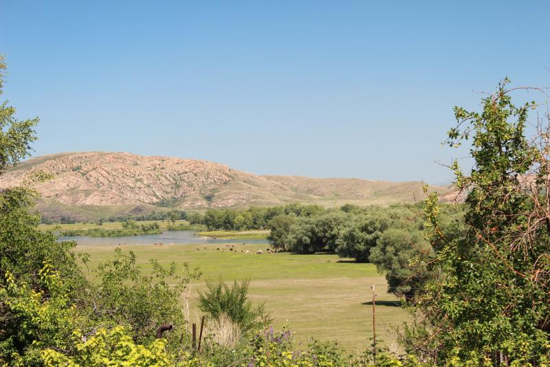 пойма Иртыша