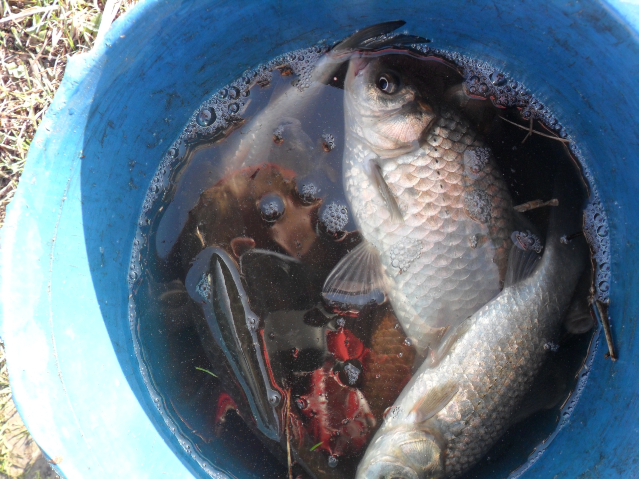 рыбалка в алматы