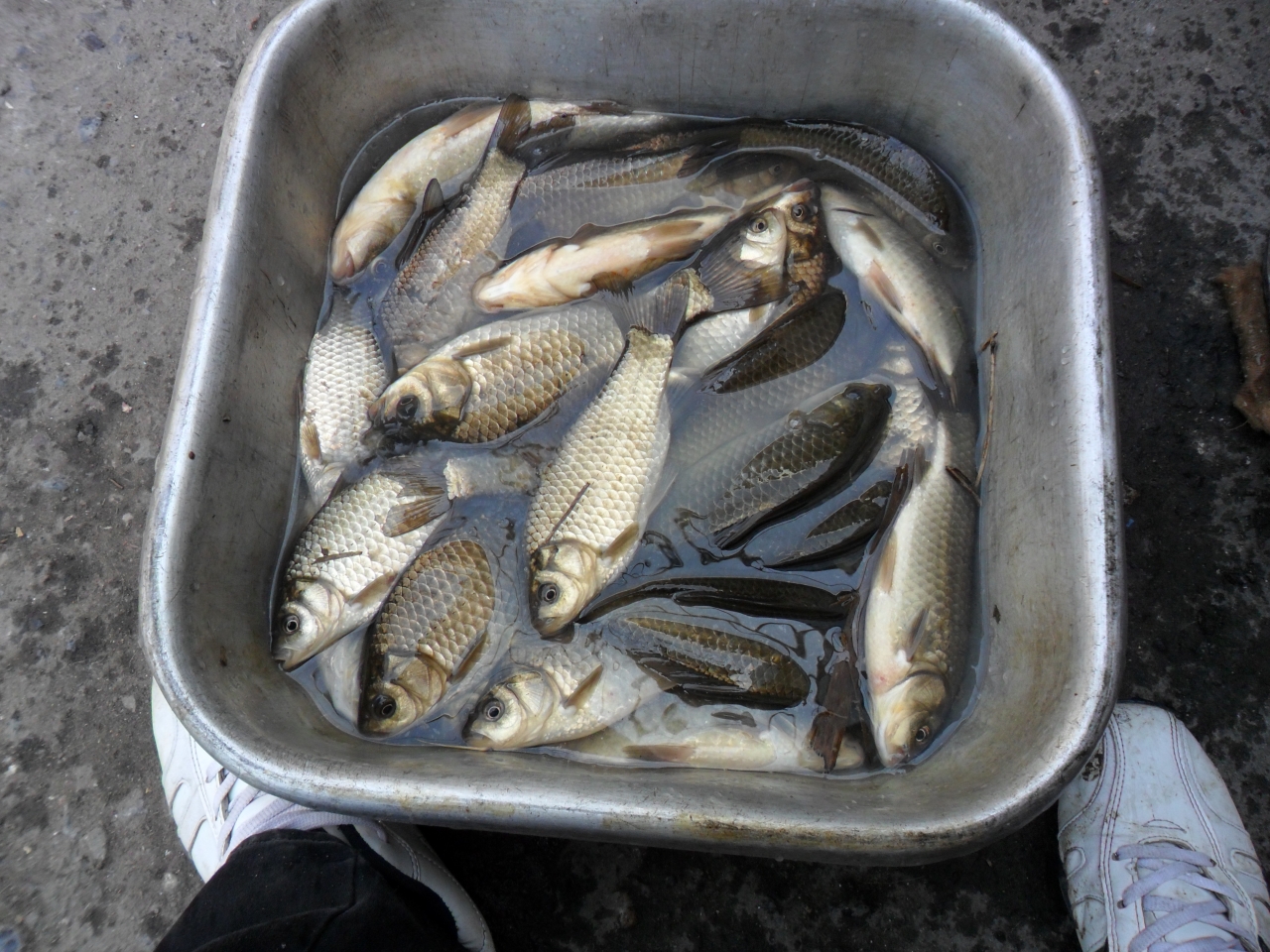 рыбалка в алматы