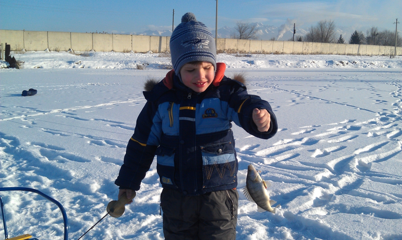 Окунь на зимней рыбалке