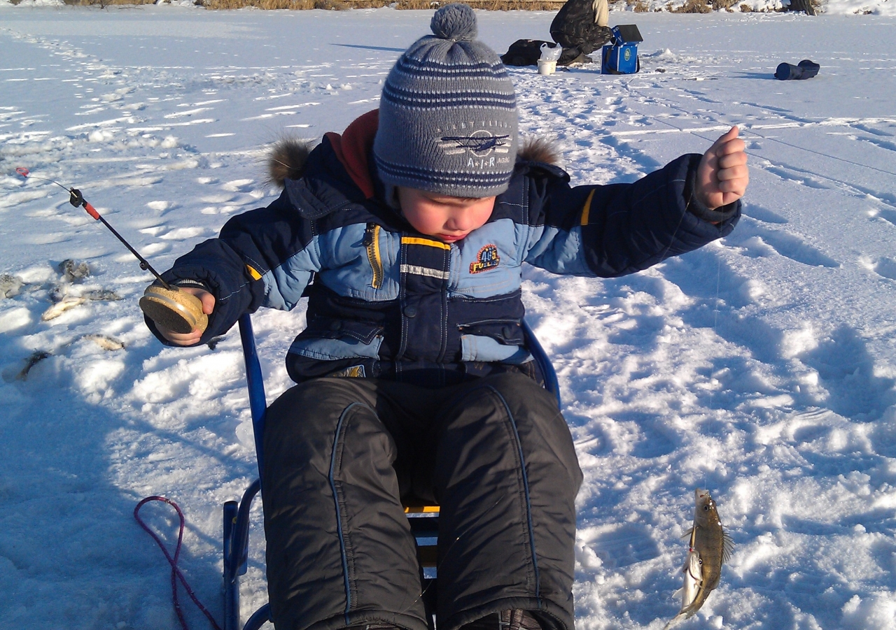 Окунь на зимней рыбалке