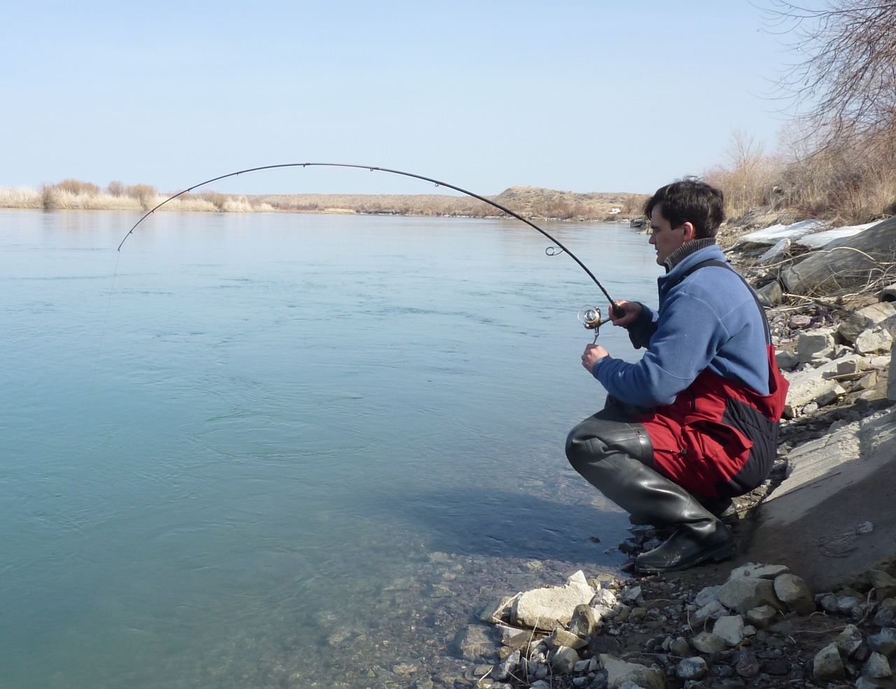 Rivolta GRIS 772 ML, жерех 3 кг против течения, работа под нагрузкой