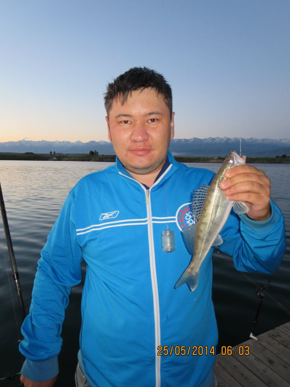 По привычке поймал судака на фидер <img src="styles/default/xenforo/clear.png"...