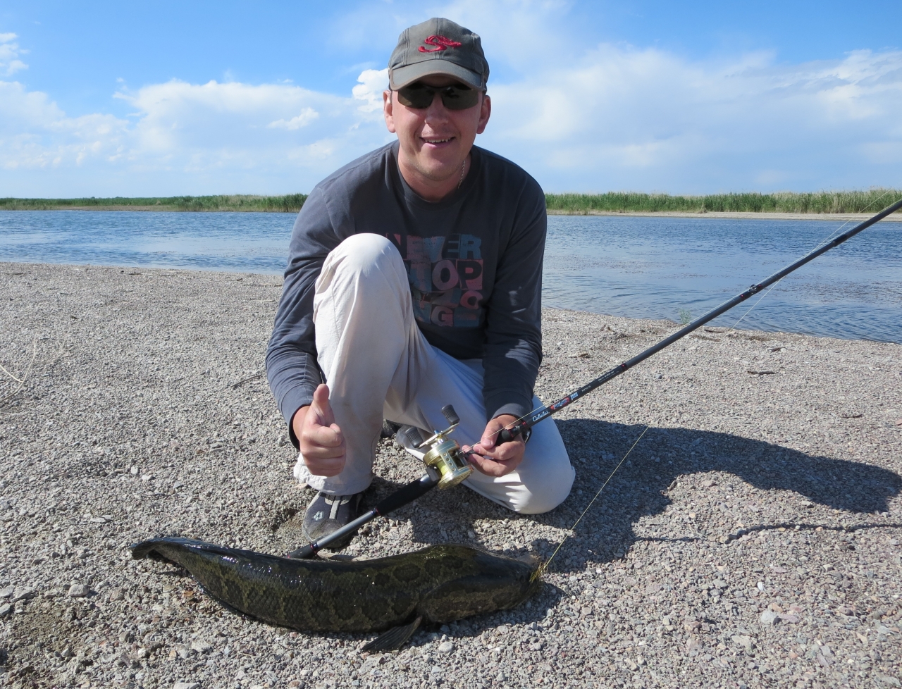 Змейголов 3.7 кг Алматы