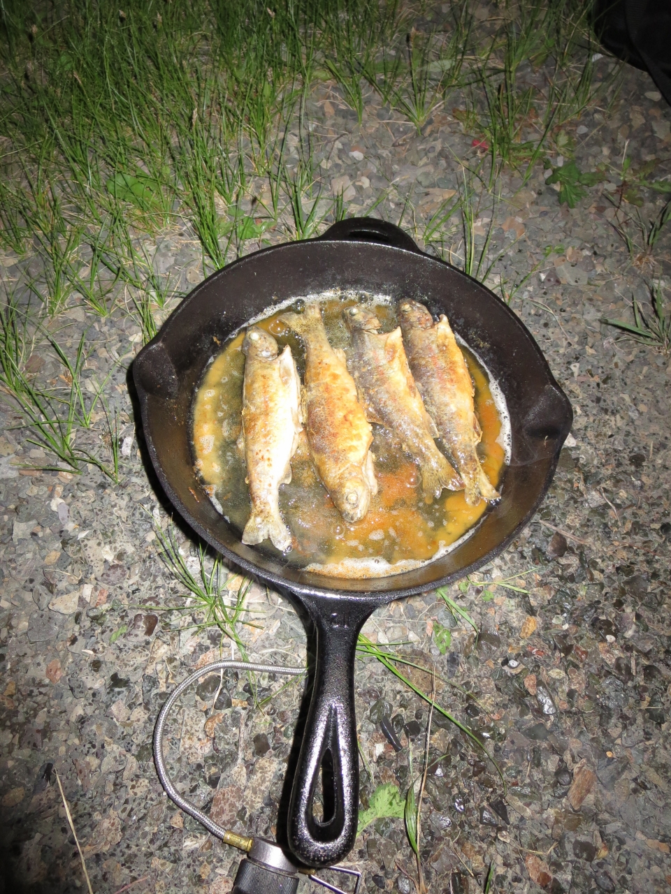 Тупо пожарить <img src="styles/default/xenforo/clear.png" class="mceSmilieSprite mceSmilie1"...