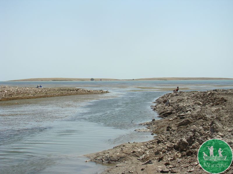 Кубок FISHING.KZ по ловле на спиннинг с лодки &quot;ЗМЕЕГОЛОВ 2014&quot;