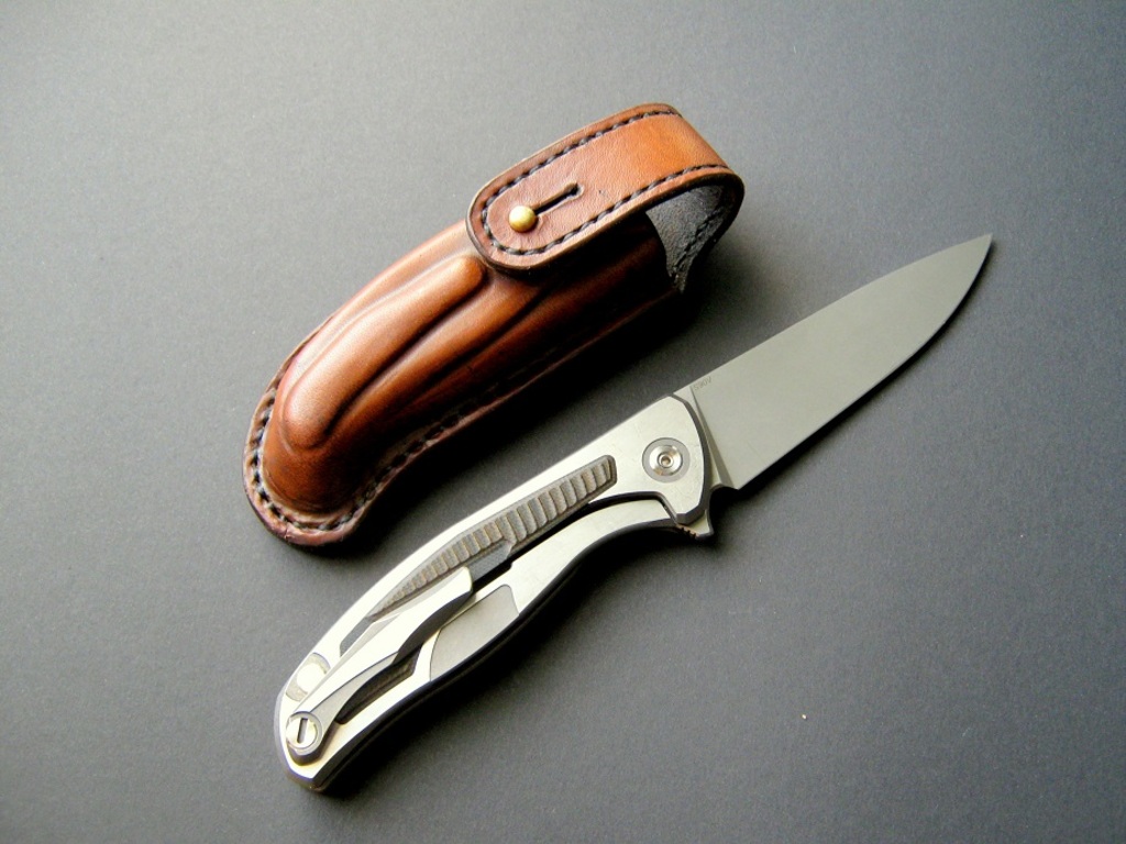 Чехол для широгоровского флипера