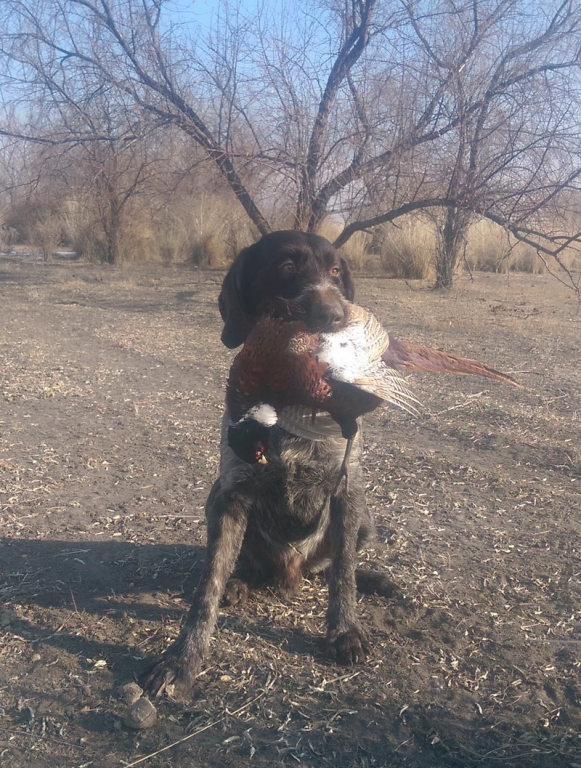 Последний в 2014