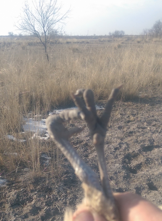 Джон Сильвер