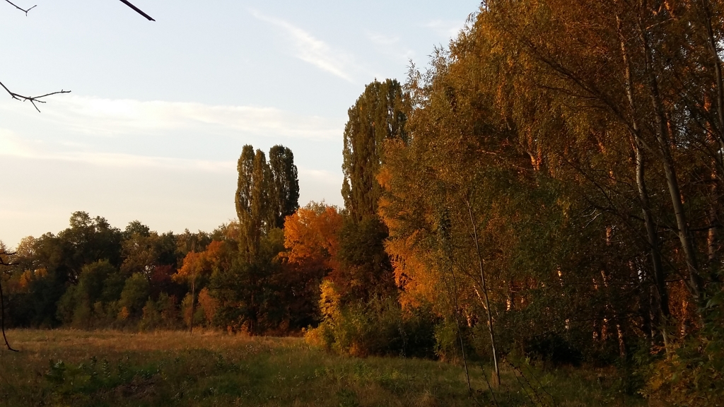 Ботанический сад, Алматы