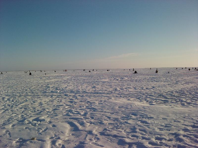 На льду