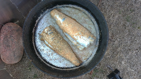 <img src="style_emoticons/<#EMO_DIR#>/good.gif"...