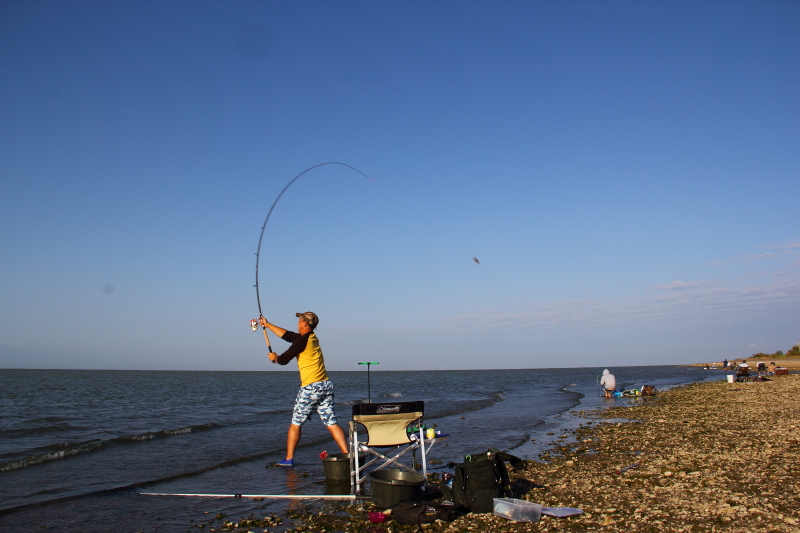 Кубок Fishing.kz по фидеру на Капчагайском водохранилище