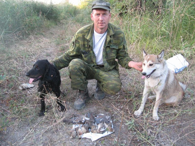 открытие охоты на перепела и голубя.